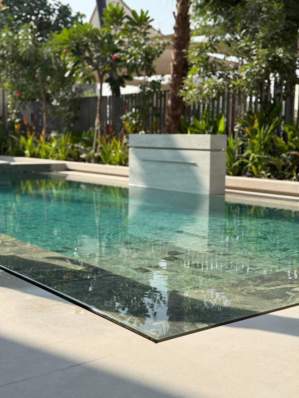 Drought-tolerant planting with olive trees and stone paving