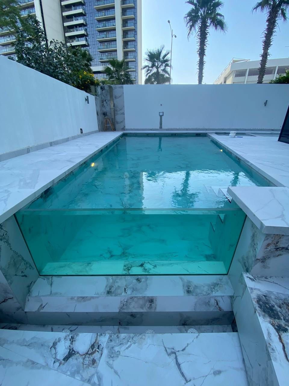 Overflow pool with tropical planting and glass edge detail