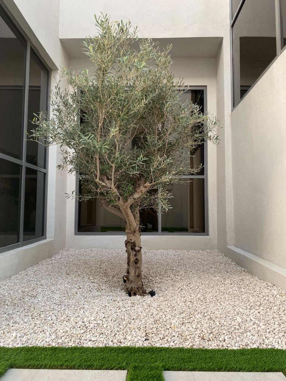 Luxury outdoor lounge with pool and lighting